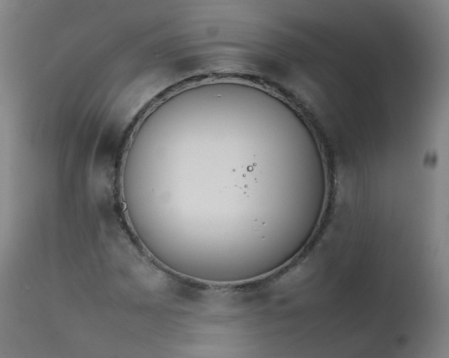 X0000111371065200907171152