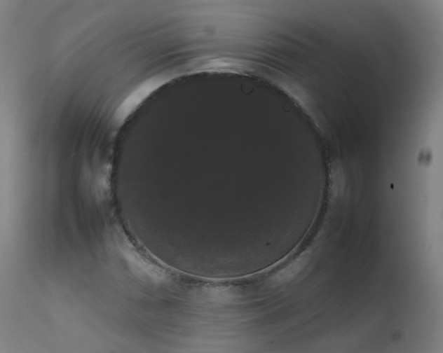 X0000111371066200907171152