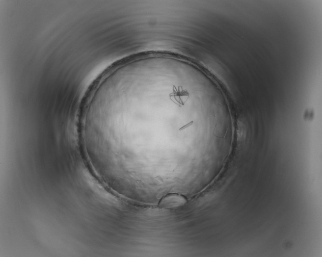 X0000111371068200907171152