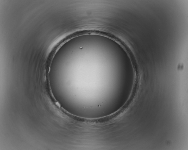 X0000111371069200907171152