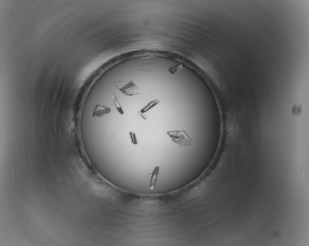 X0000111371070200907171152