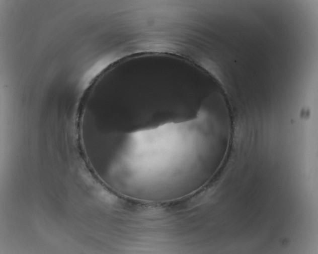 X0000111371071200907171152