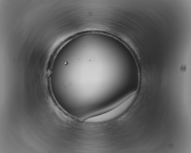 X0000111371072200907171152