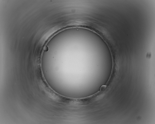 X0000111371073200907171152