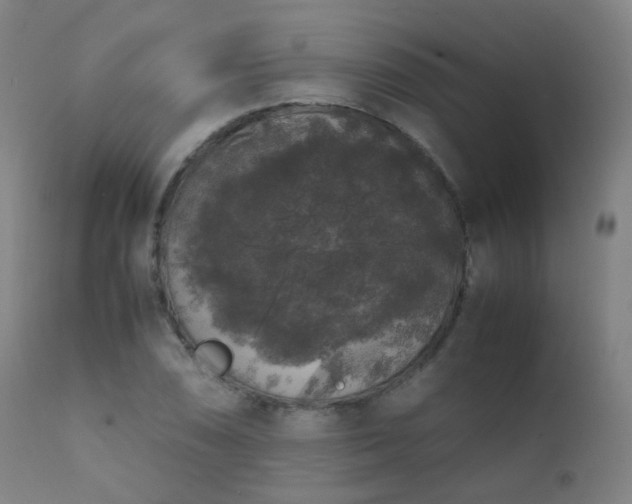 X0000111371074200907171152