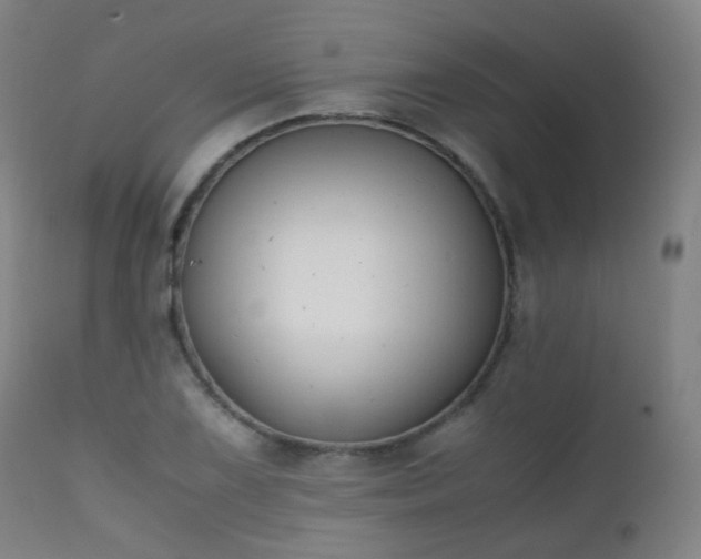 X0000111371075200907171152