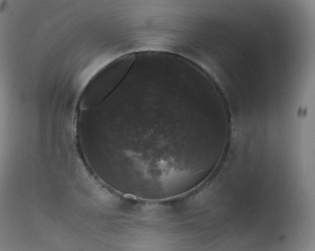 X0000111371077200907171152