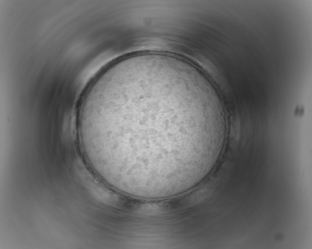 X0000111371078200907171152