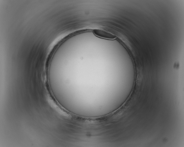 X0000111371080200907171152