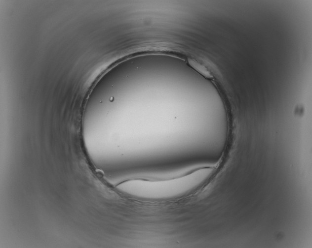 X0000111371081200907171152