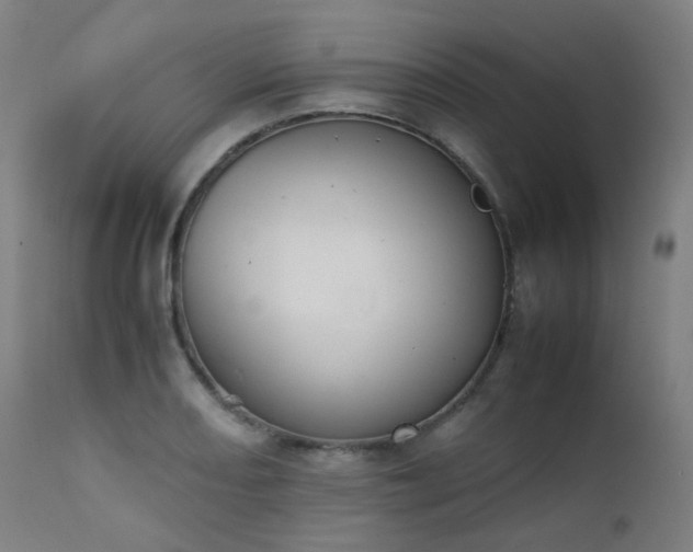 X0000111371082200907171152