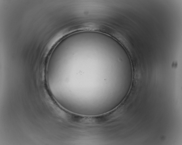 X0000111371083200907171152