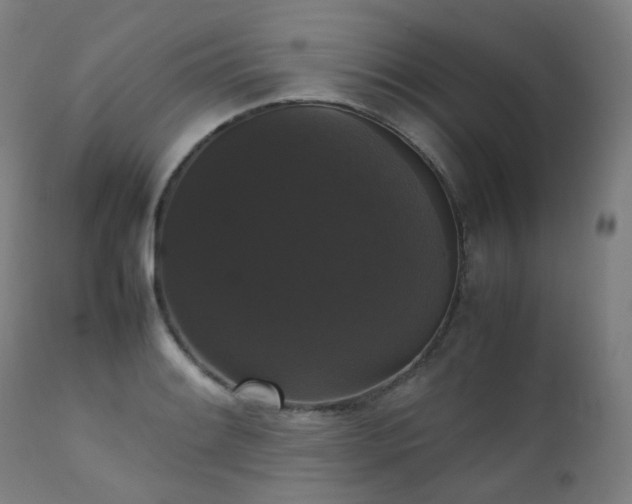 X0000111371084200907171152