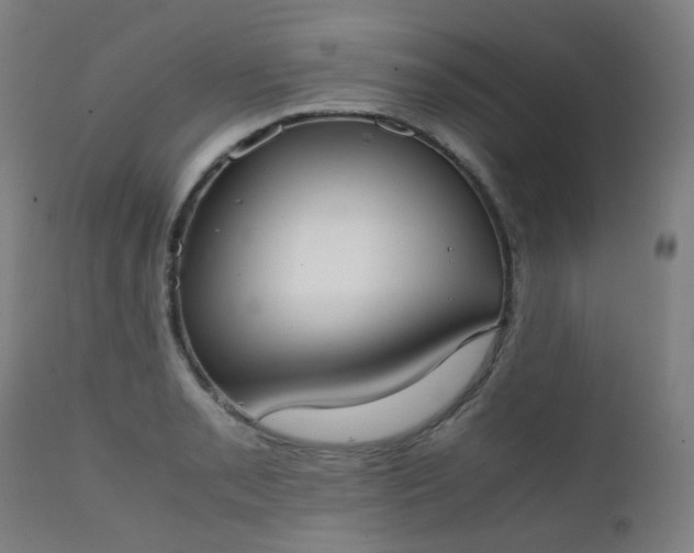 X0000111371085200907171152