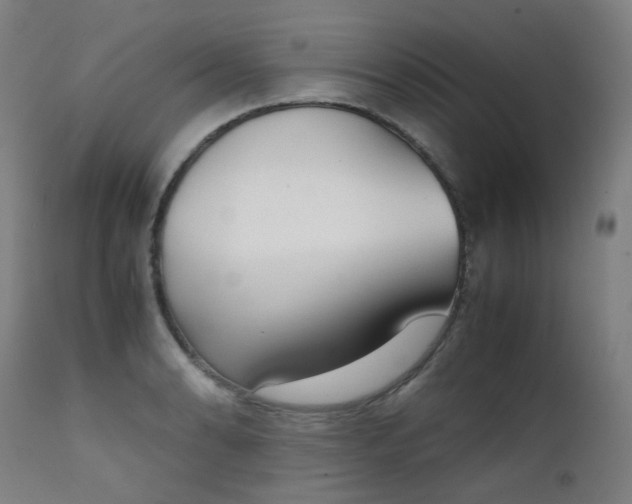 X0000111371086200907171152