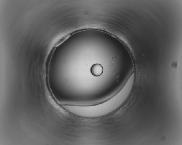 X0000111371088200907171152