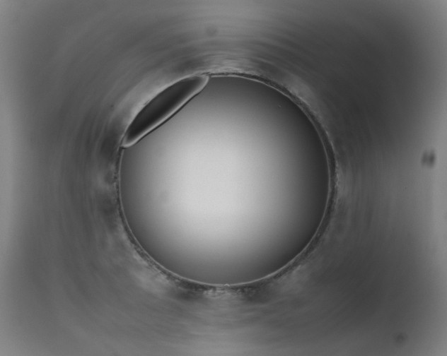 X0000111371089200907171152