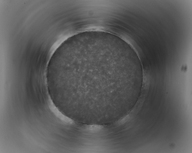 X0000111371090200907171152