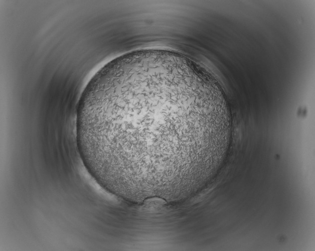 X0000111371092200907171152