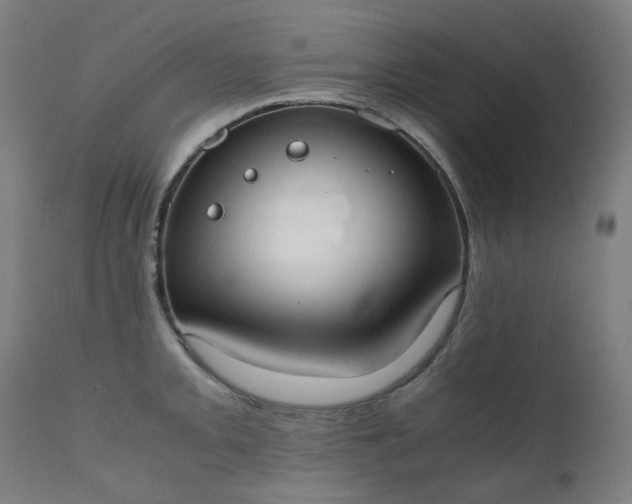 X0000111371093200907171152