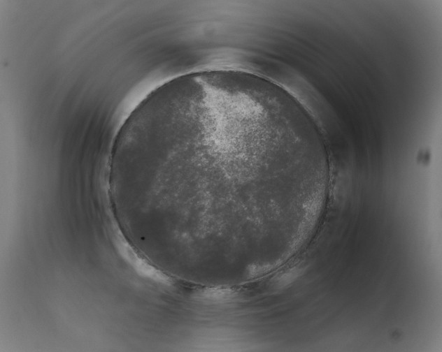 X0000111371094200907171152