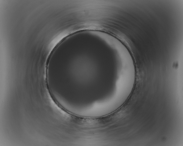 X0000111371095200907171152