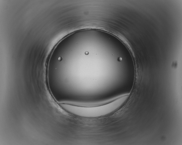 X0000111371096200907171152