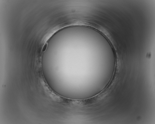 X0000111371097200907171152