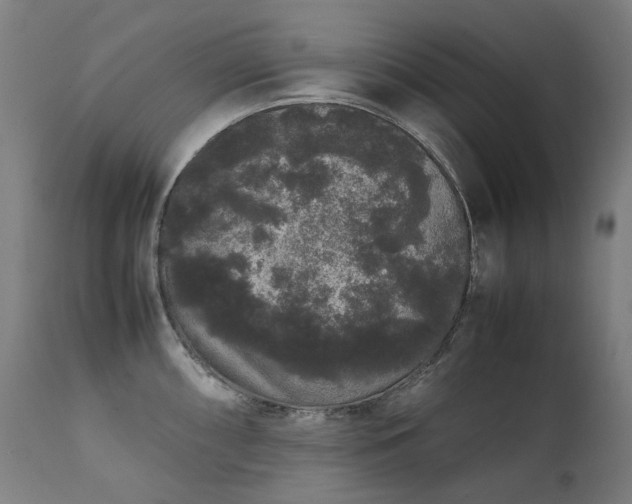 X0000111371098200907171152