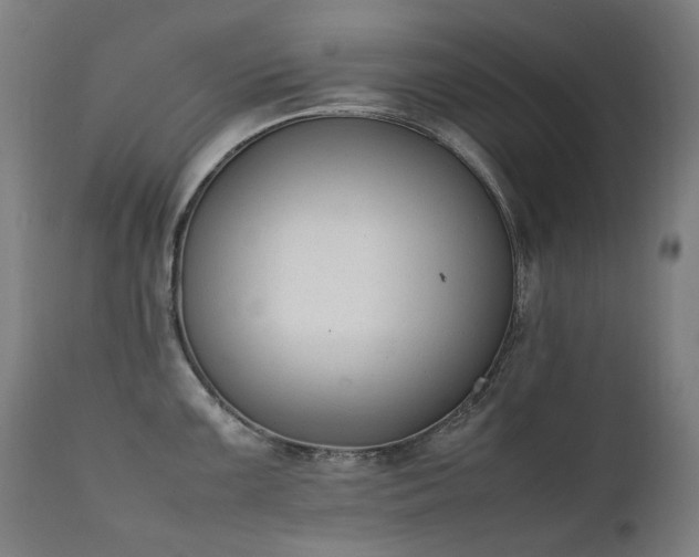 X0000111371099200907171152