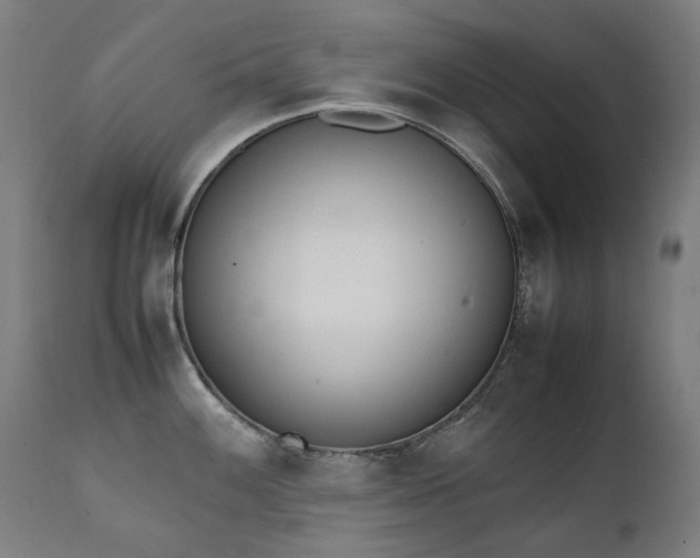 X0000111371100200907171152