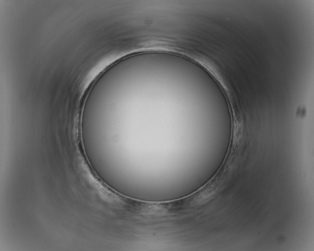 X0000111371101200907171152