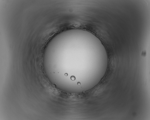 X0000111371105200907171151