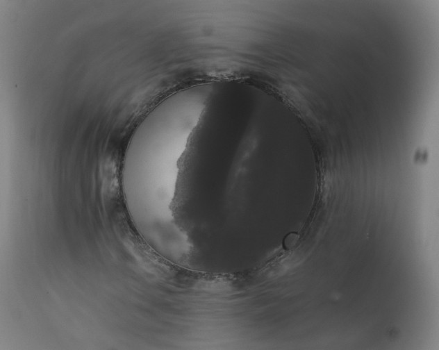 X0000111371106200907171151