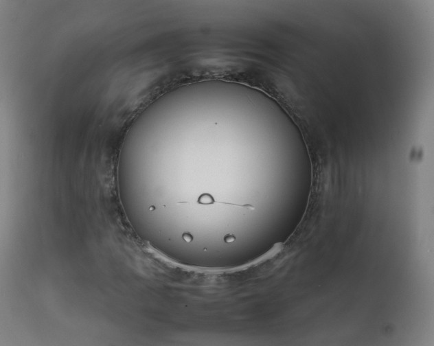 X0000111371109200907171151