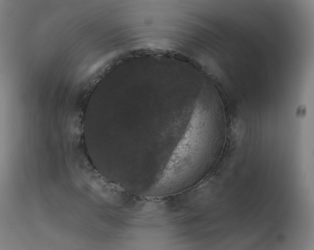 X0000111371110200907171151