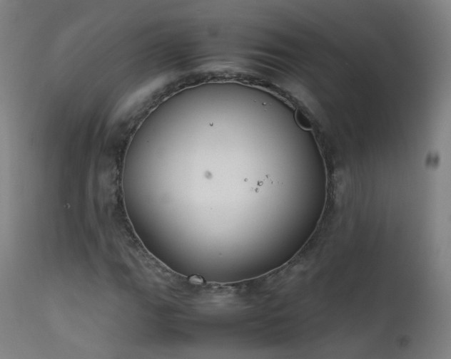 X0000111371111200907171151