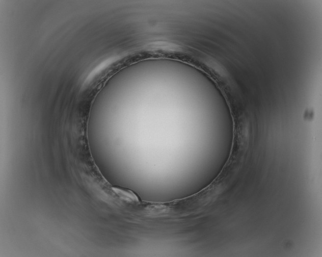 X0000111371112200907171151