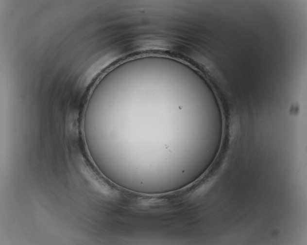 X0000111371113200907171151