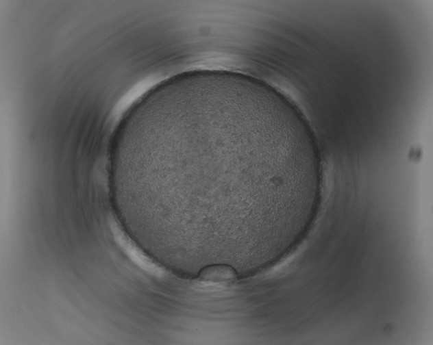 X0000111371114200907171151