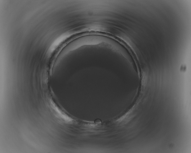 X0000111371115200907171151