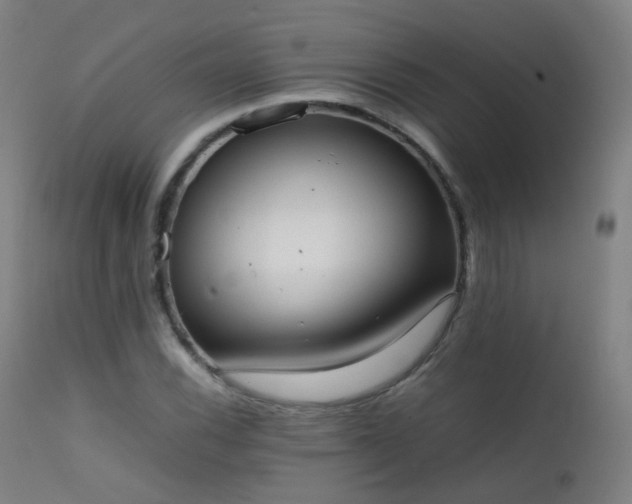 X0000111371116200907171151