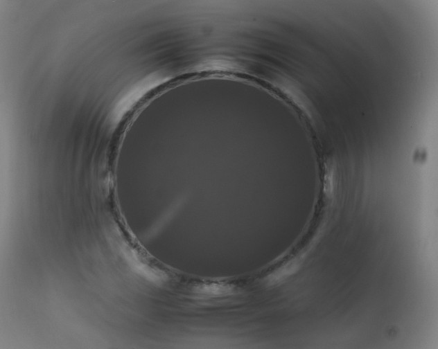 X0000111371117200907171151