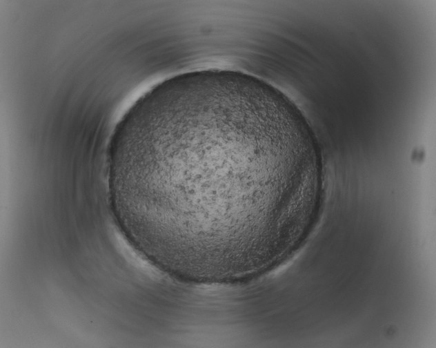 X0000111371118200907171151