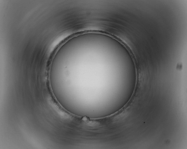 X0000111371119200907171151