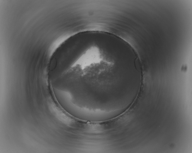 X0000111371120200907171151