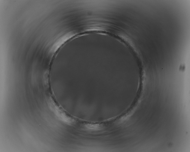 X0000111371121200907171151