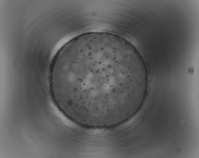 X0000111371122200907171151