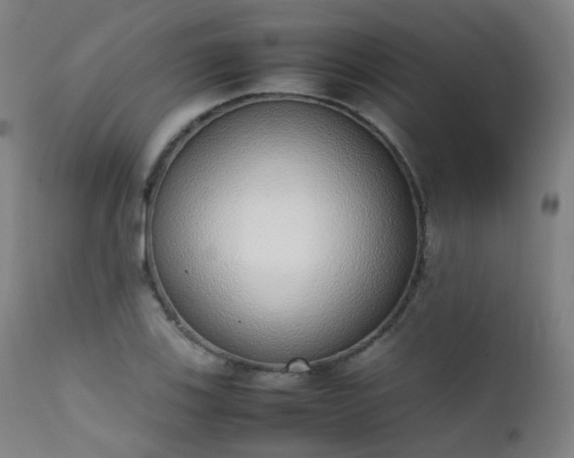 X0000111371123200907171151