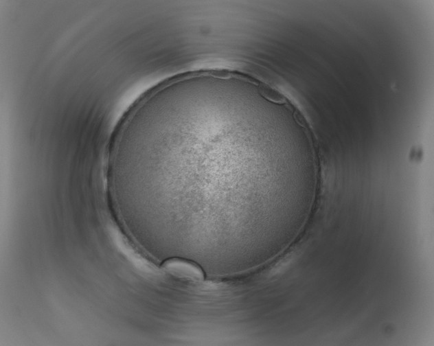 X0000111371124200907171151